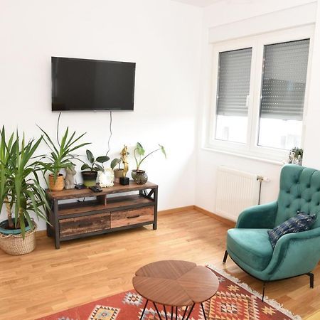 Apartamento Avenija Oaza Novi Sad Exterior foto