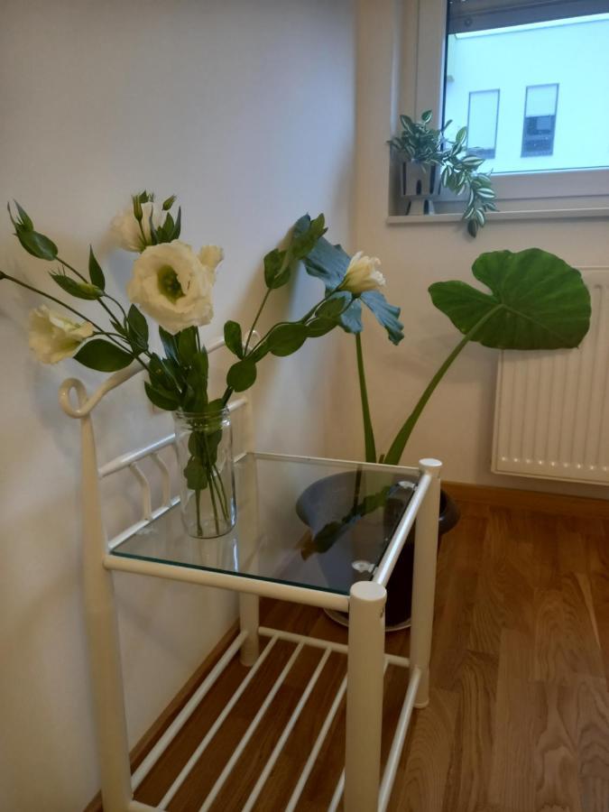 Apartamento Avenija Oaza Novi Sad Exterior foto
